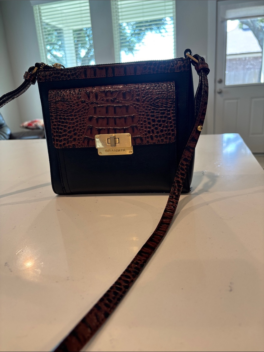 Brahmin Black & Brown Croc-Accent Crossbody